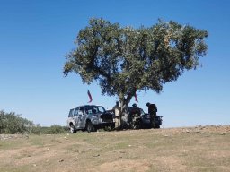 2023-09-29 SALAMANDRA II